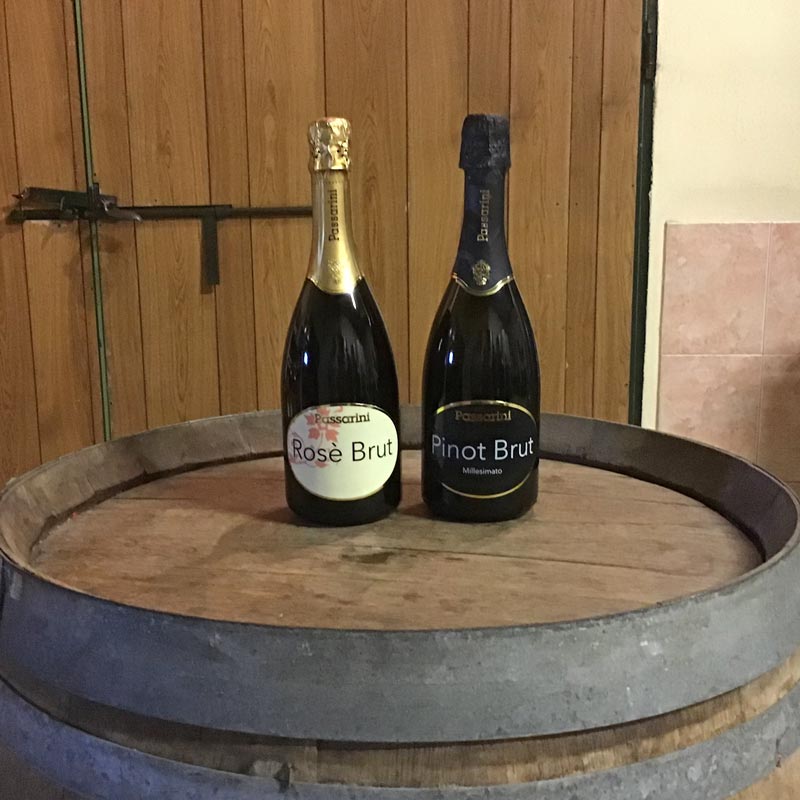 Pinot-Brut-e-Brut-Rose-IMG_0682-featured