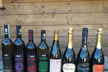 Home delivery vini vegani Passarini Wines