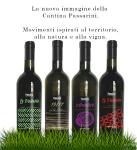 nuovi vini foto sito web